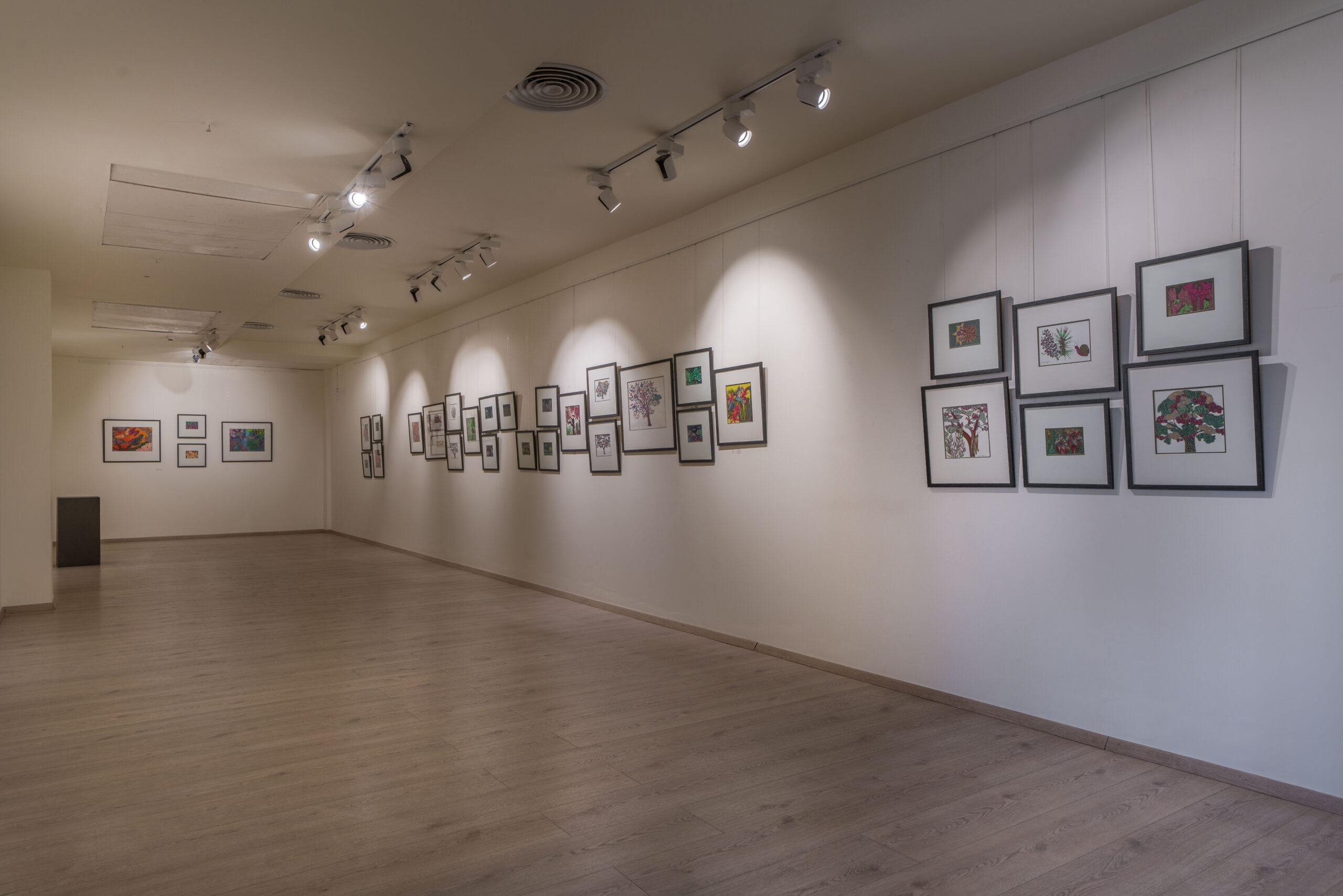 Art & Design Exhibition Space at Club Botanika